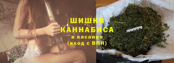прущие грибы Осинники