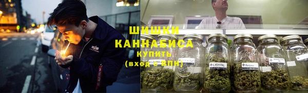 прущие грибы Осинники