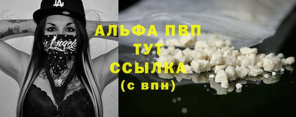 скорость Вяземский