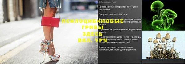 винт Осташков