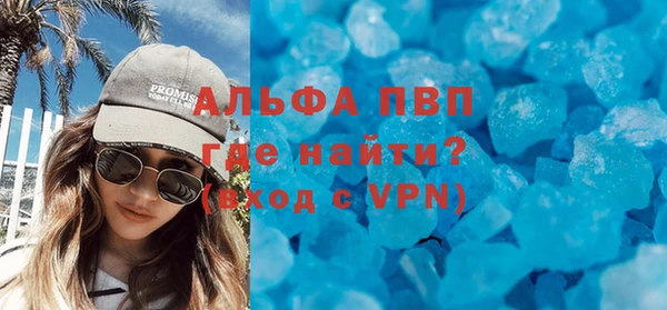 прущие грибы Осинники