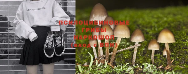 дживик Вязники